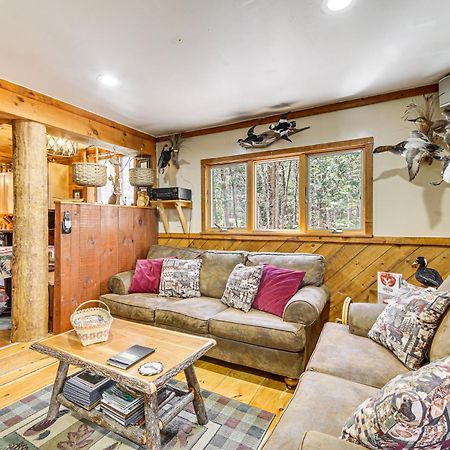 Rustic Searsport Cabin Loft And Sunroom On 10 Acres Dış mekan fotoğraf